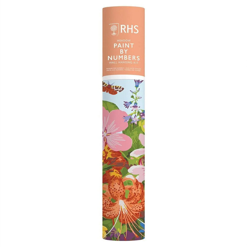 RHS Meadow Painting by Numbers