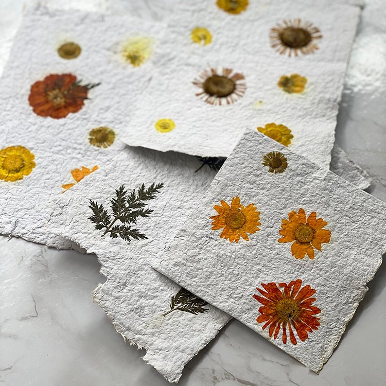 The Digital Pressed Flower Book by Hannah Read-Baldrey - MakeBox & Co.