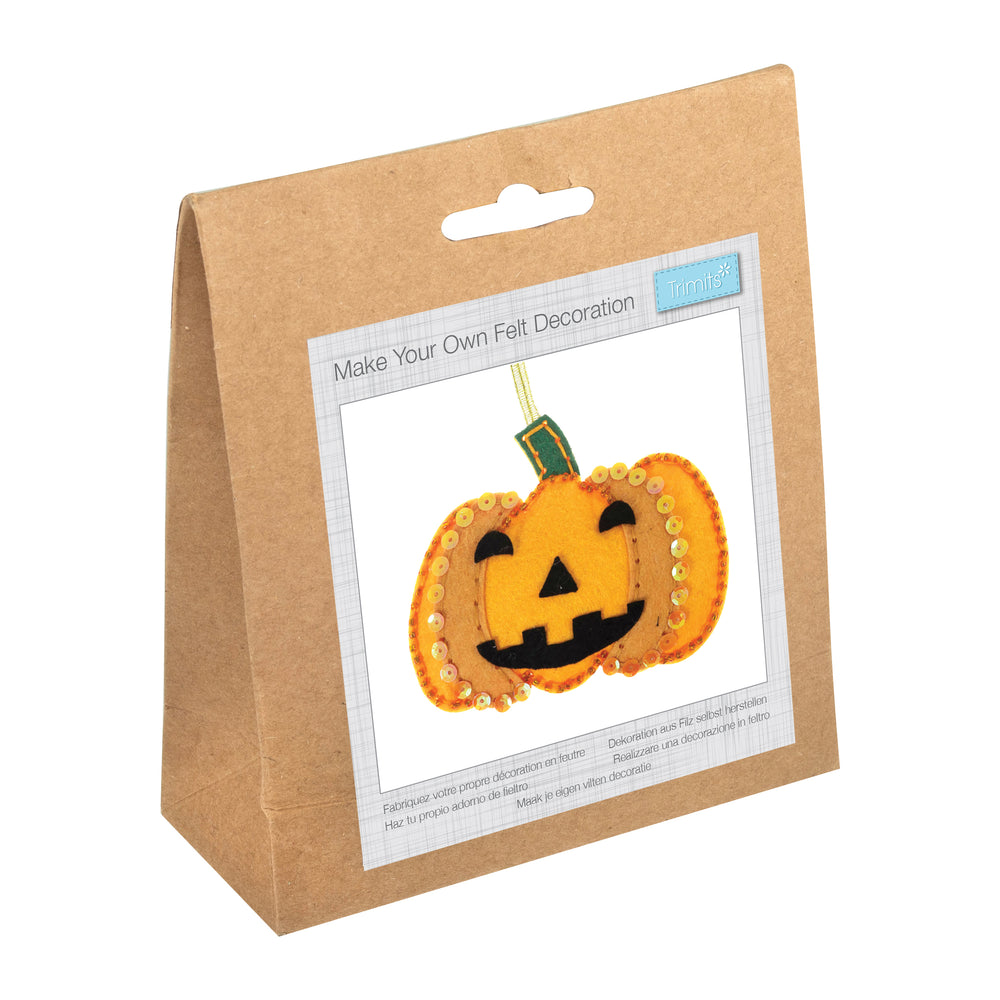 
                      
                        Felt Decoration Kit, Sequinned Pumpkin
                      
                    