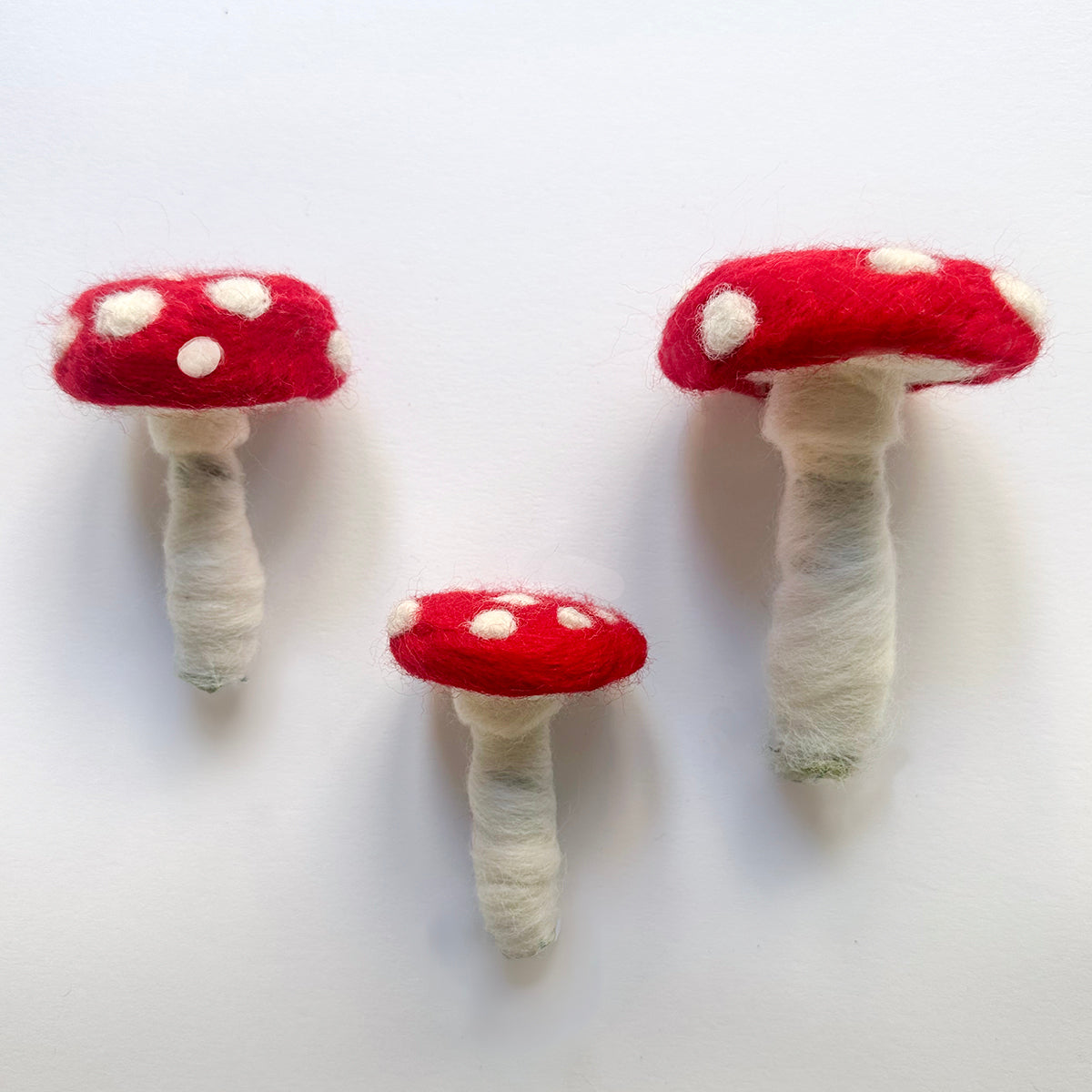 Wild Toadstools Needle Felting Kit