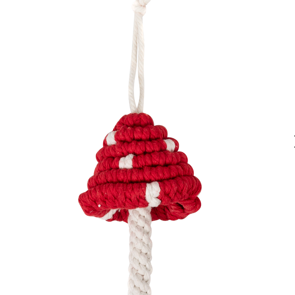 Macrame Kit, Toadstool