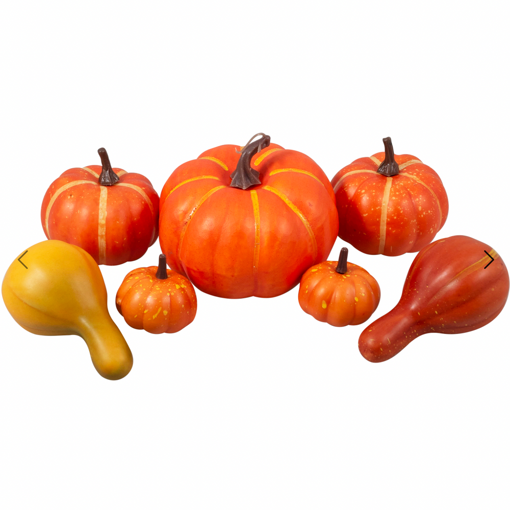 Pumpkins & Gourds in Bag: 7 Pieces