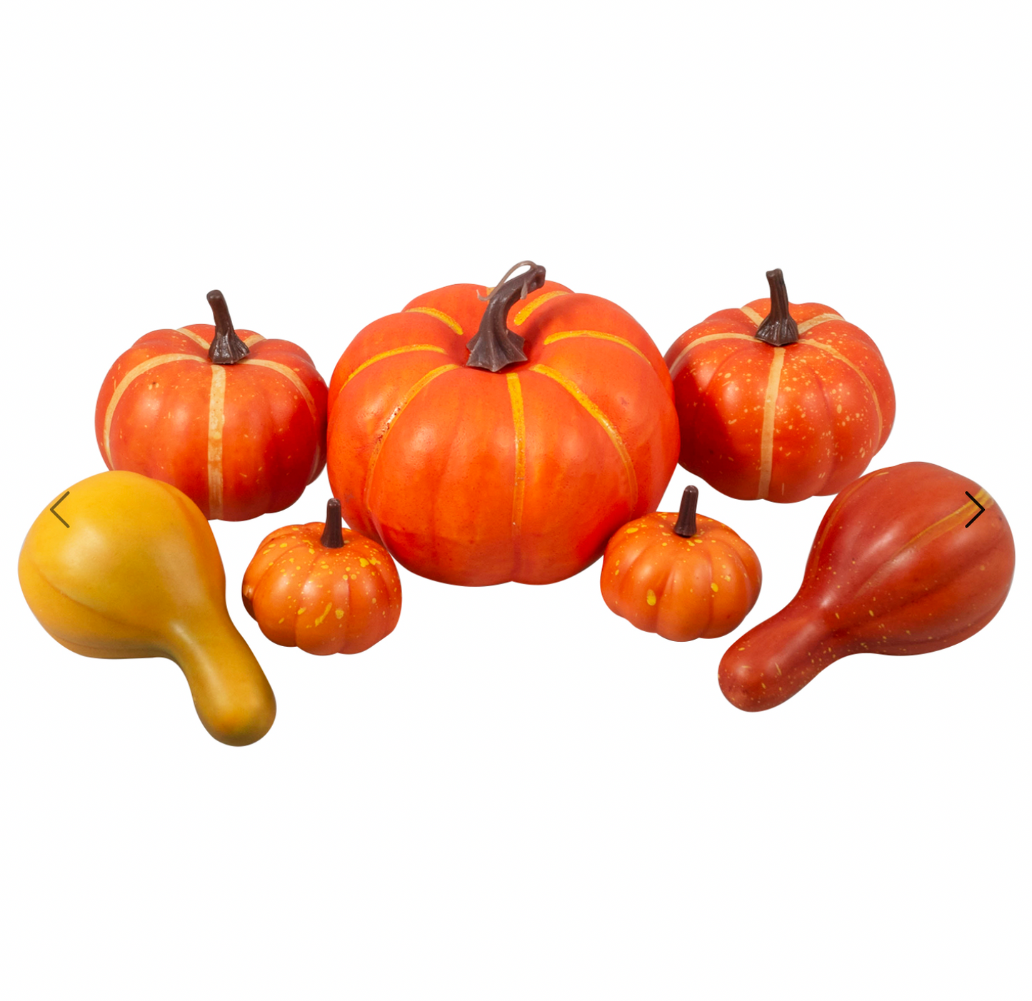 Pumpkins & Gourds in Bag: 7 Pieces