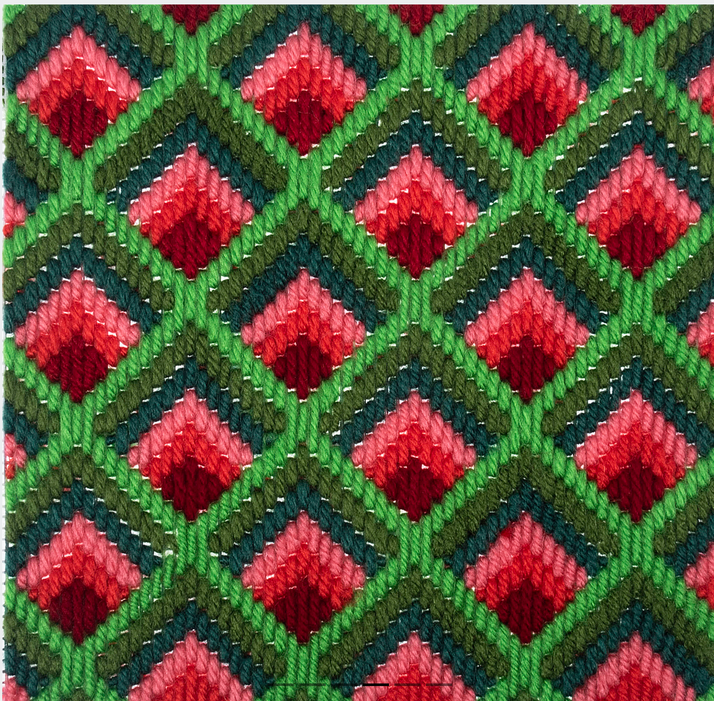 Trimits Green Floral Bargello Kit
