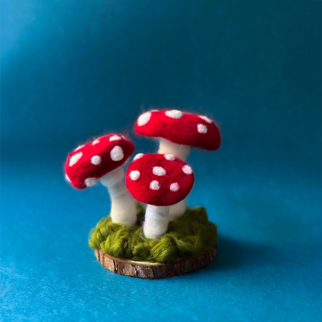 Wild Toadstools Needle Felting Kit