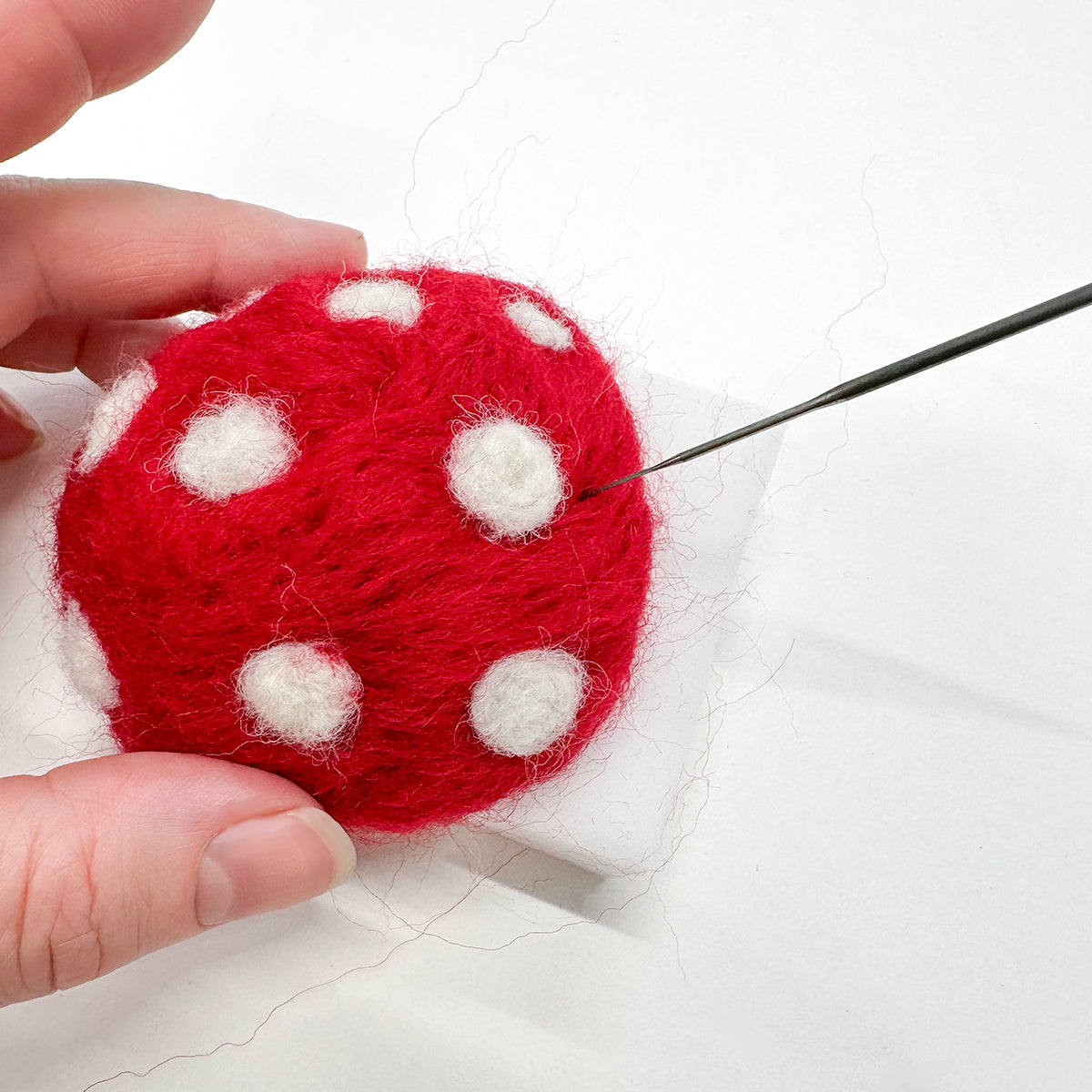 Wild Toadstools Needle Felting Kit