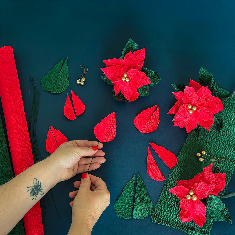 
                      
                        Potted Paper Poinsettia Papercraft Kit – pre-order
                      
                    