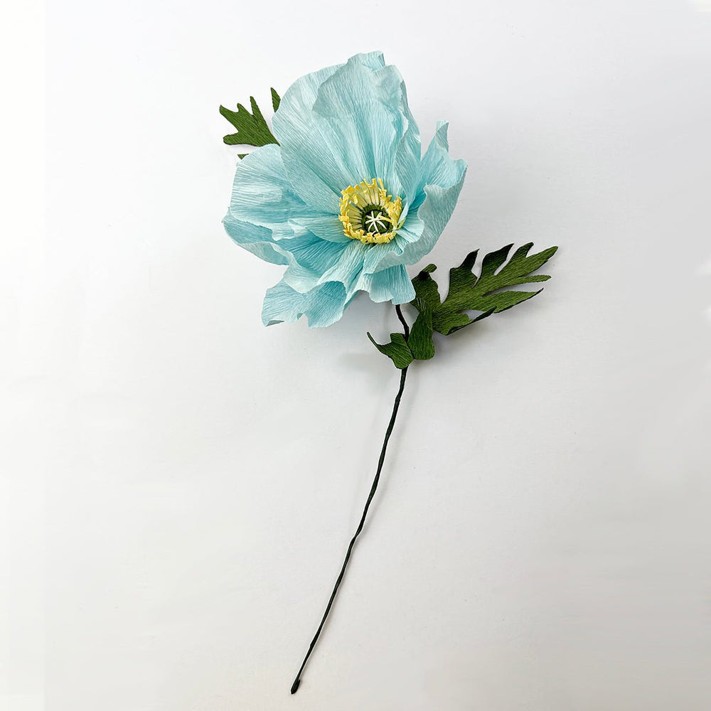 
                      
                        Paper Flowers: Giant Rainbow Icelandic Poppies - MakeBox & Co.
                      
                    