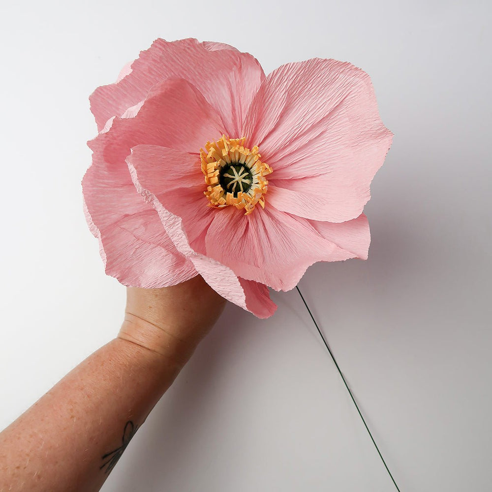 
                      
                        Paper Flowers: Giant Rainbow Icelandic Poppies - MakeBox & Co.
                      
                    