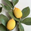 The Lemon & Lilac Crepe Paper Wreath - MakeBox & Co.